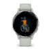 Часы Garmin Venu 3S серо-зеленый с серебристым безелем 010-02785-01