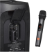 Микрофонный комплект JBL Wireless Microphone Set, черный, 2 шт (JBLWIRELESSMIC)